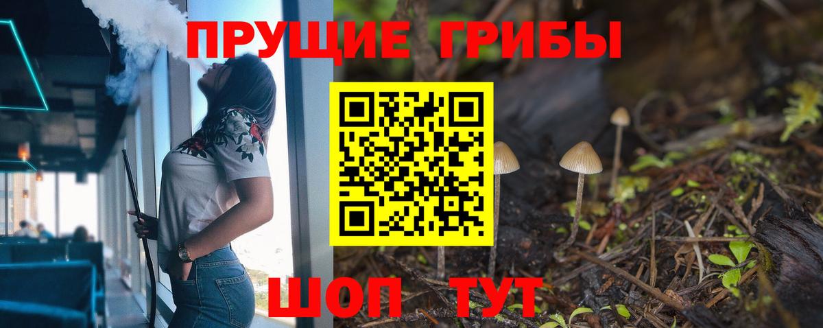 Псилоцибиновые грибы ЛСД  купить  сайты  Тамбов  Псилоцибиновые грибы Cubensis  Вход с VPN 